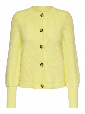 15224394 pastel yellow