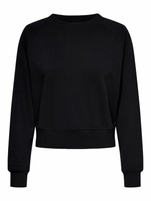 15234301 black