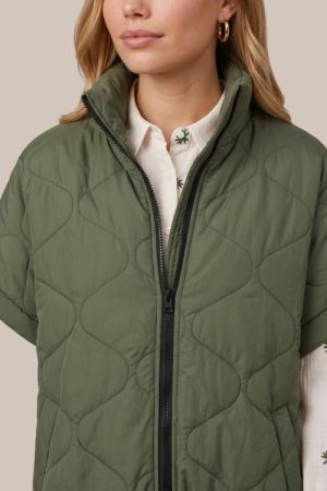 dark olive