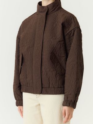 26037925 chocolate brown